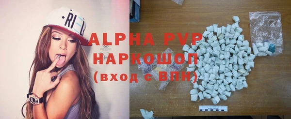 амф Гусев