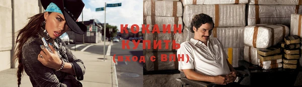 амф Гусев