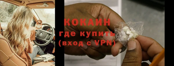 амф Гусев