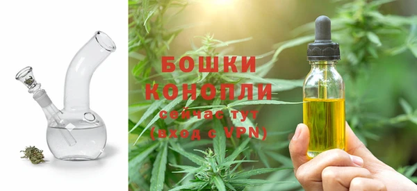 амф Гусев