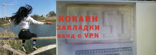 амф Гусев