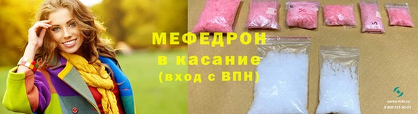 амф Гусев