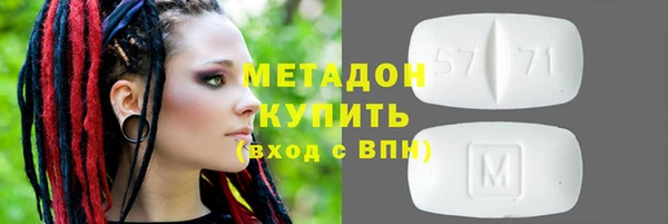 амф Гусев