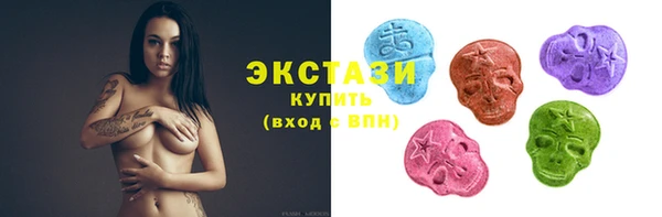 амф Гусев