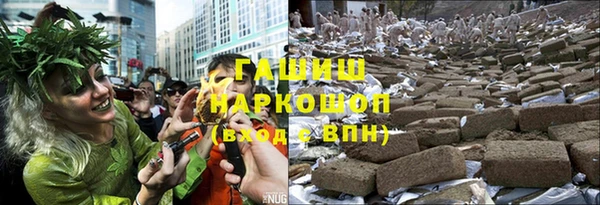 ГАЛЛЮЦИНОГЕННЫЕ ГРИБЫ Горно-Алтайск