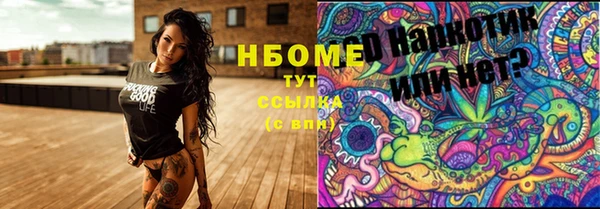 амф Гусев