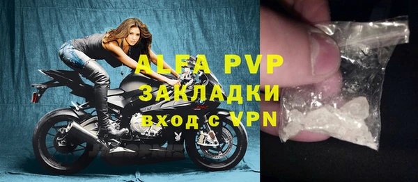амф Гусев