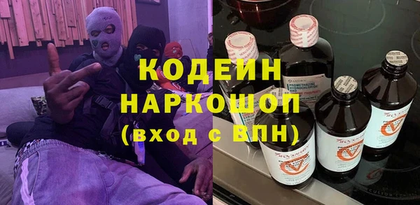 амф Гусев