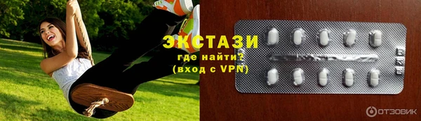 амф Гусев