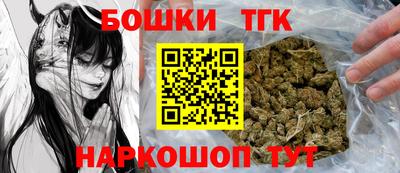 тгк Новозыбков