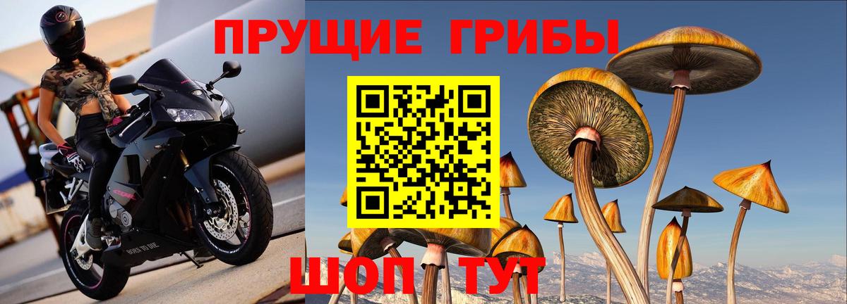 Псилоцибиновые грибы мухоморы Ярцево