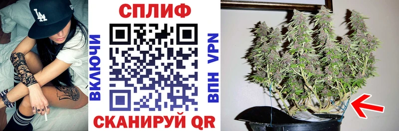 Шишки марихуана планчик  площадка формула  Ярцево 